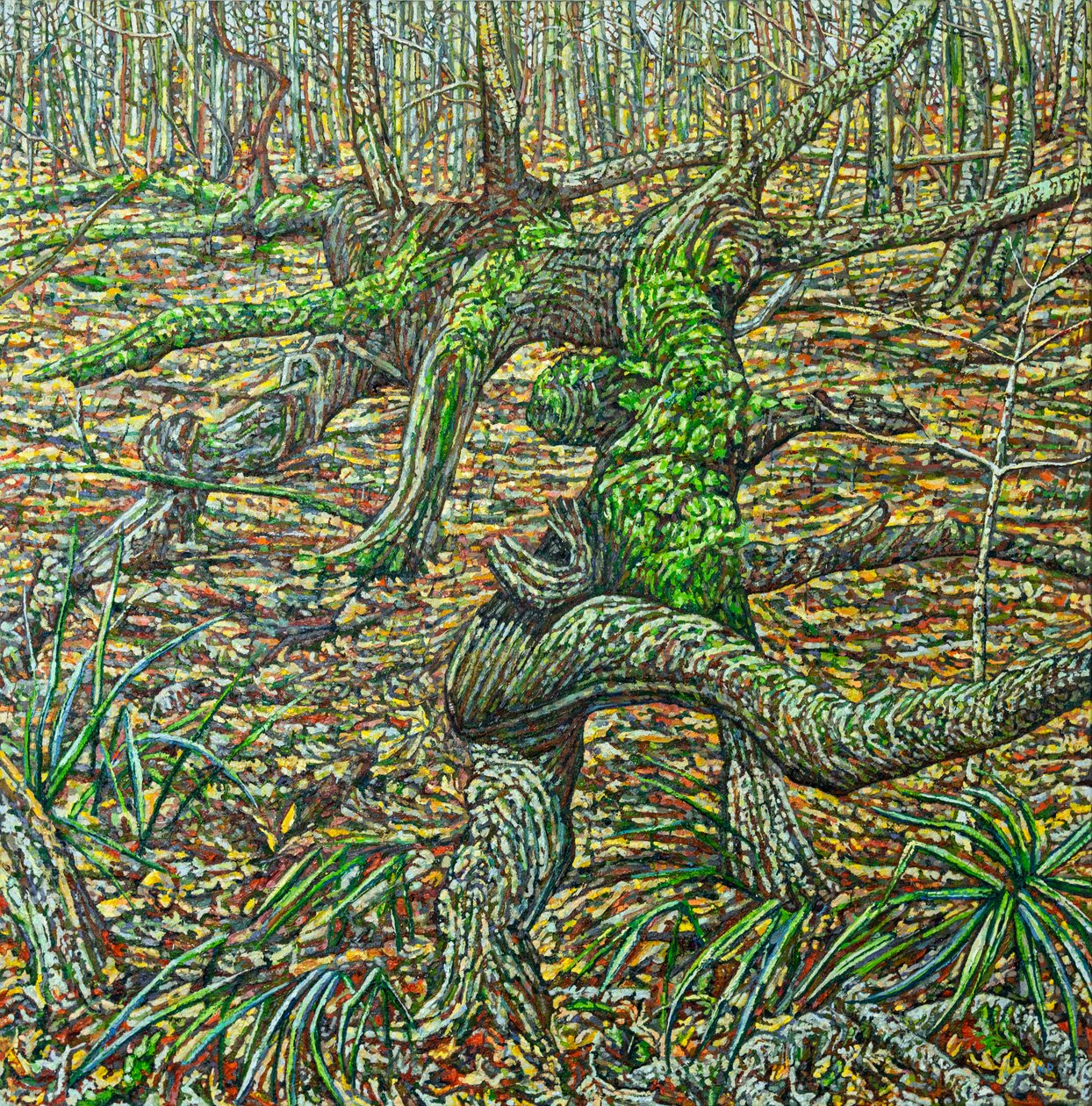 Herbst Tors - Noel Paine