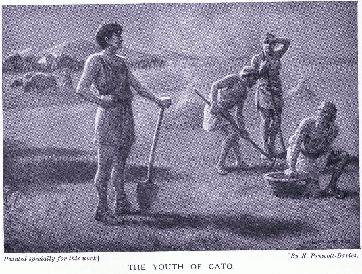 La jeunesse de Caton - Norman Prescott Davies