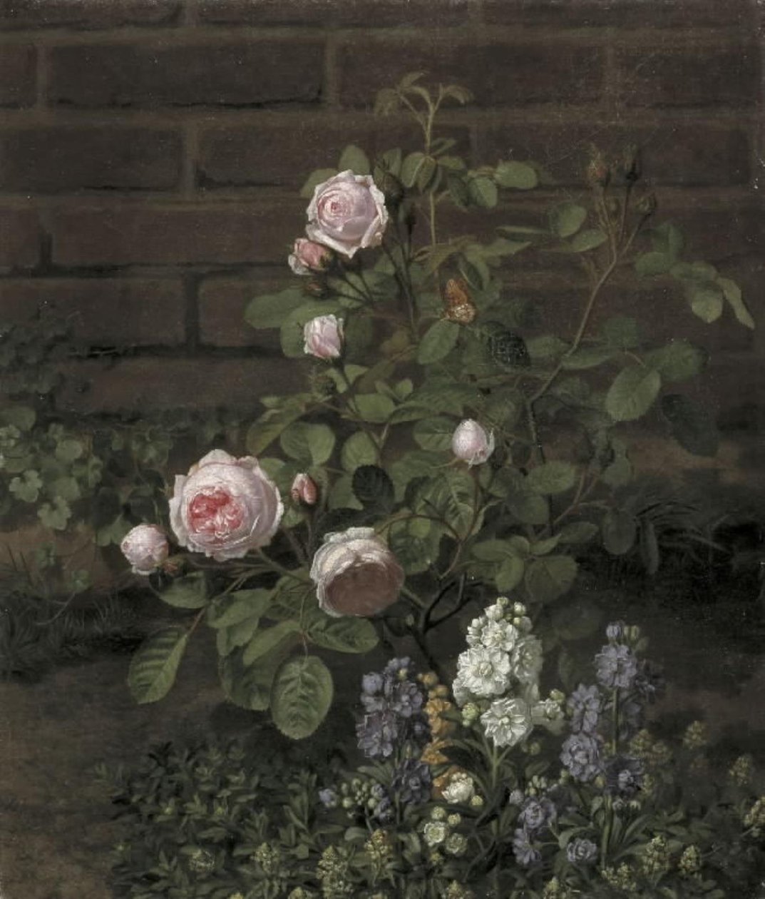 Un rosier mousseux entouré de fleurs d
