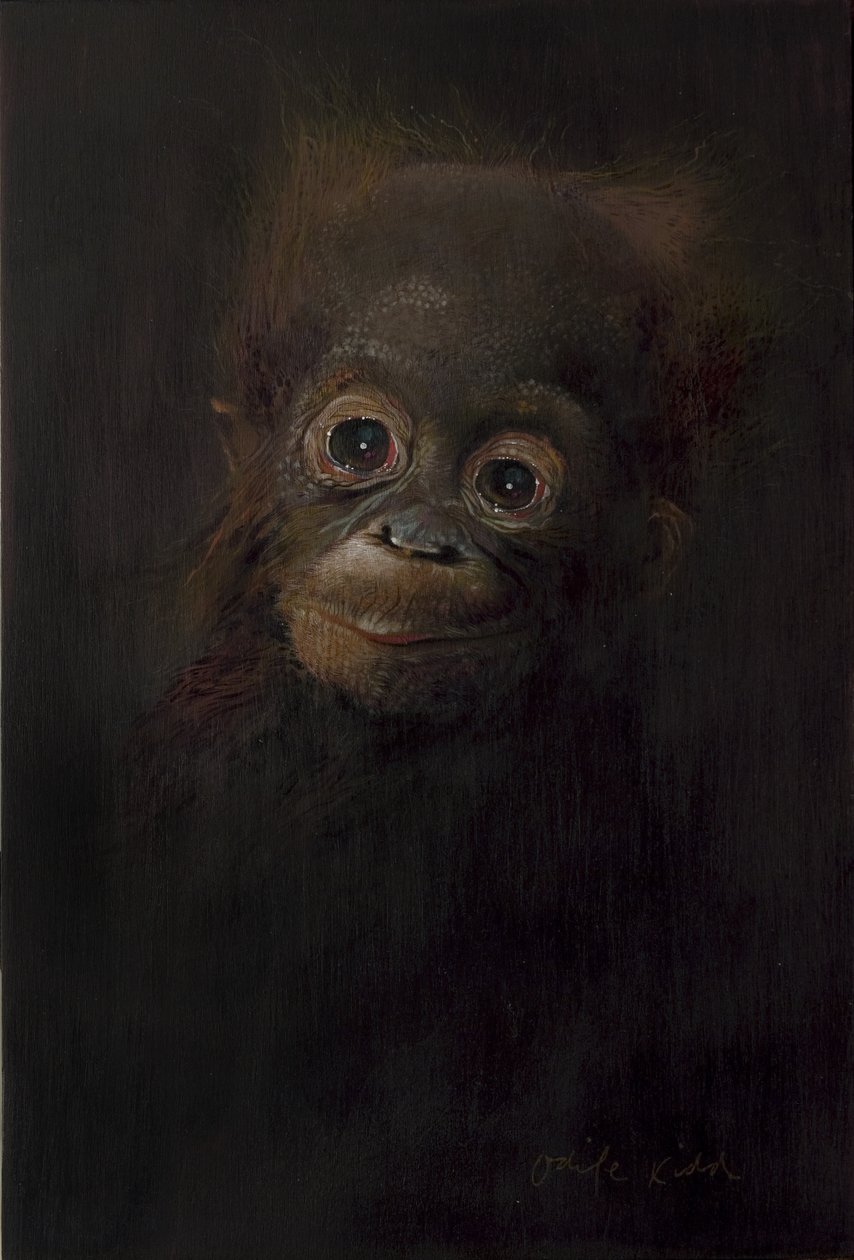 Bébé orang-outan 1, 2009 (acrylique sur bois) - Odile Kidd