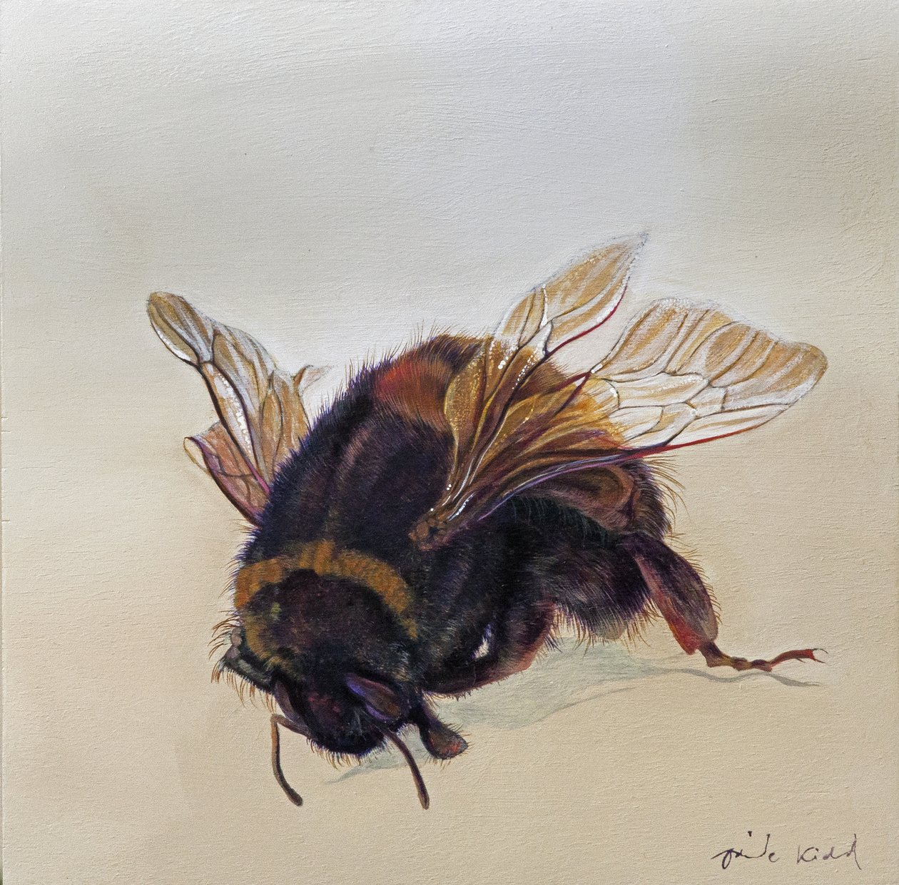 Bombus terrestris 10, 2013 (acrylique sur bois) - Odile Kidd