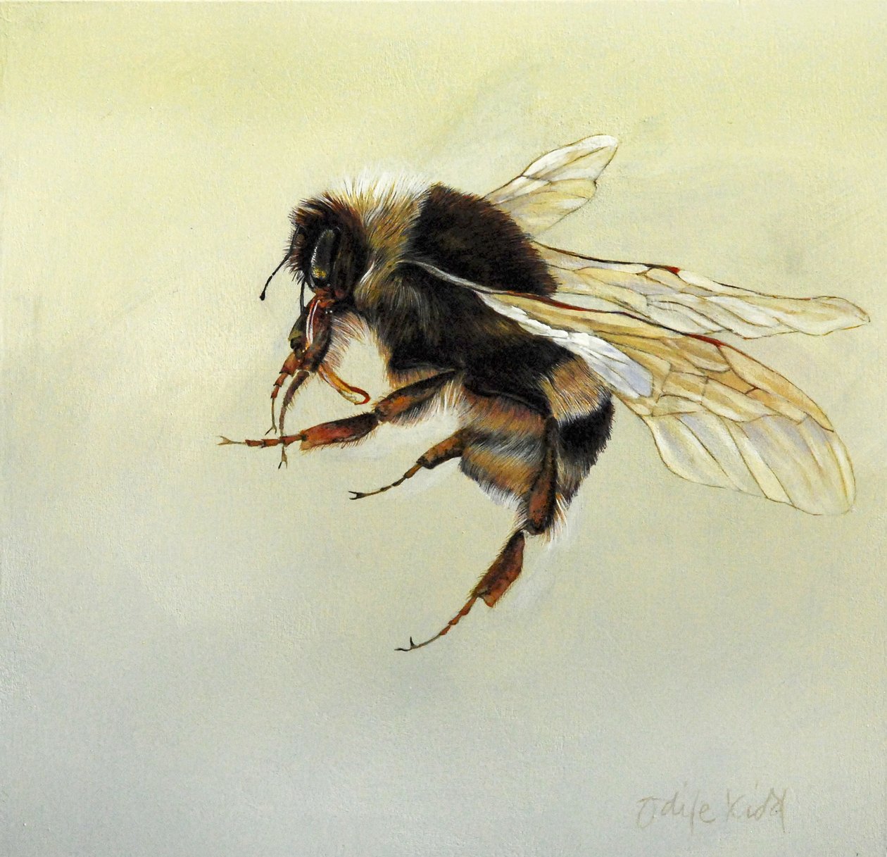 Bombus terrestris 4, 2011 (acrylique sur bois) - Odile Kidd