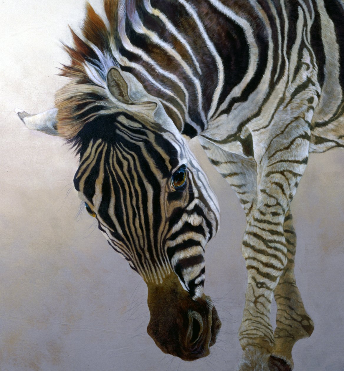 Equus burchelli 2 (détail), 2010 (acrylique sur toile) - Odile Kidd