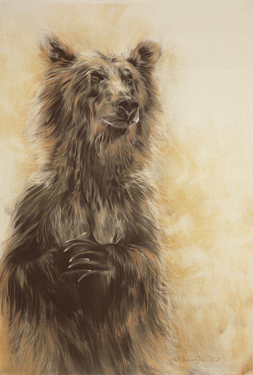 Grizzly Bear 1, 2002 (crayon de carbone, fusain et craie) - Odile Kidd