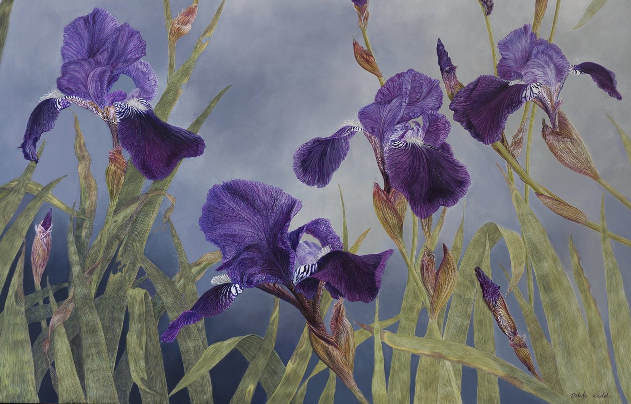 Iris hybrida (détail), 2015 (acrylique sur bois gesso) - Odile Kidd