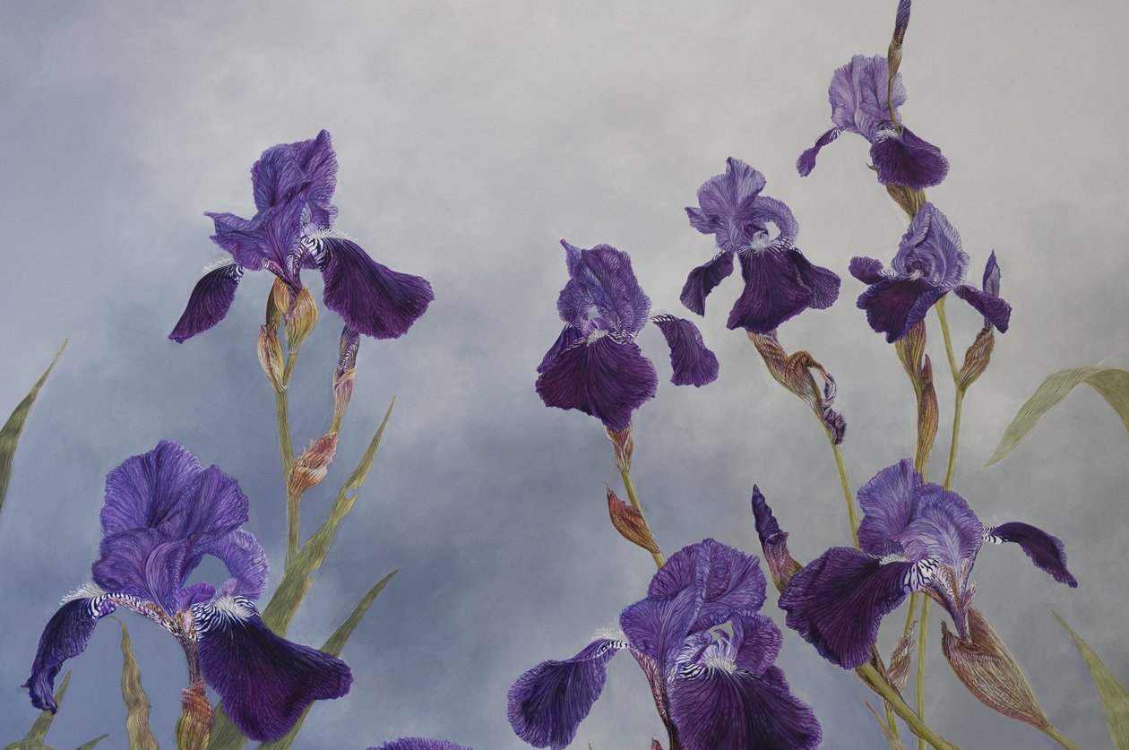 Iris hybrida (détail), 2015 (acrylique sur bois gesso) - Odile Kidd