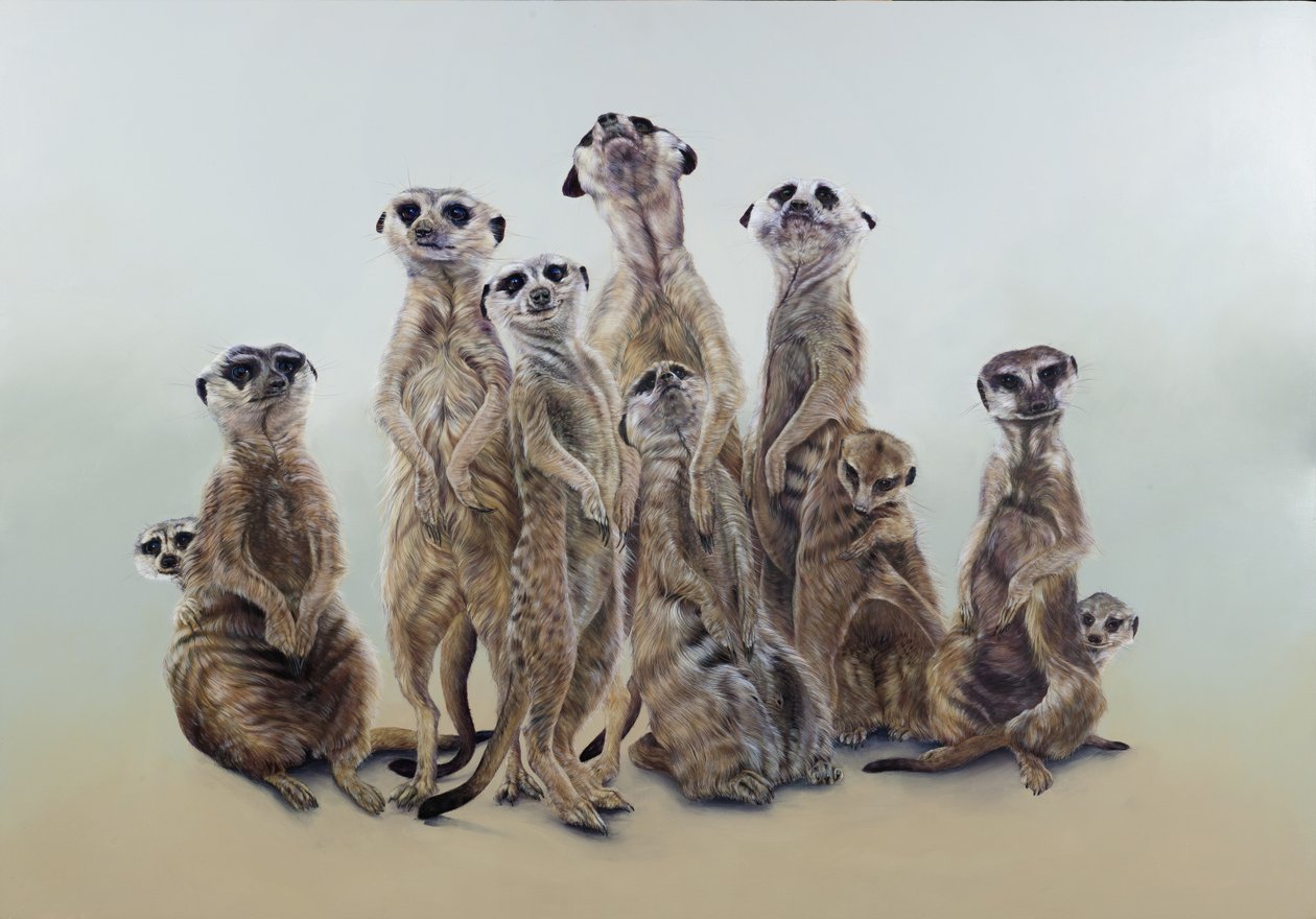 Meerkat mob, sun angels, 2013 (acrylique sur bois gessoïsé) - Odile Kidd