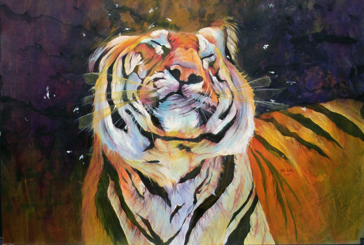 Tiger (Shaking Head) 1996 (encres, acryliques et crayons sur papier) - Odile Kidd