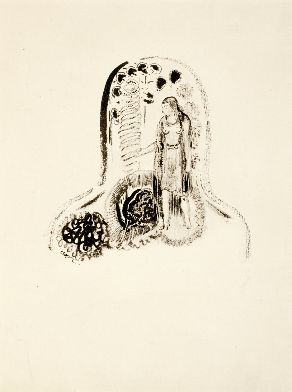 Jeune fille dans un jardin de fleurs - Odilon Redon