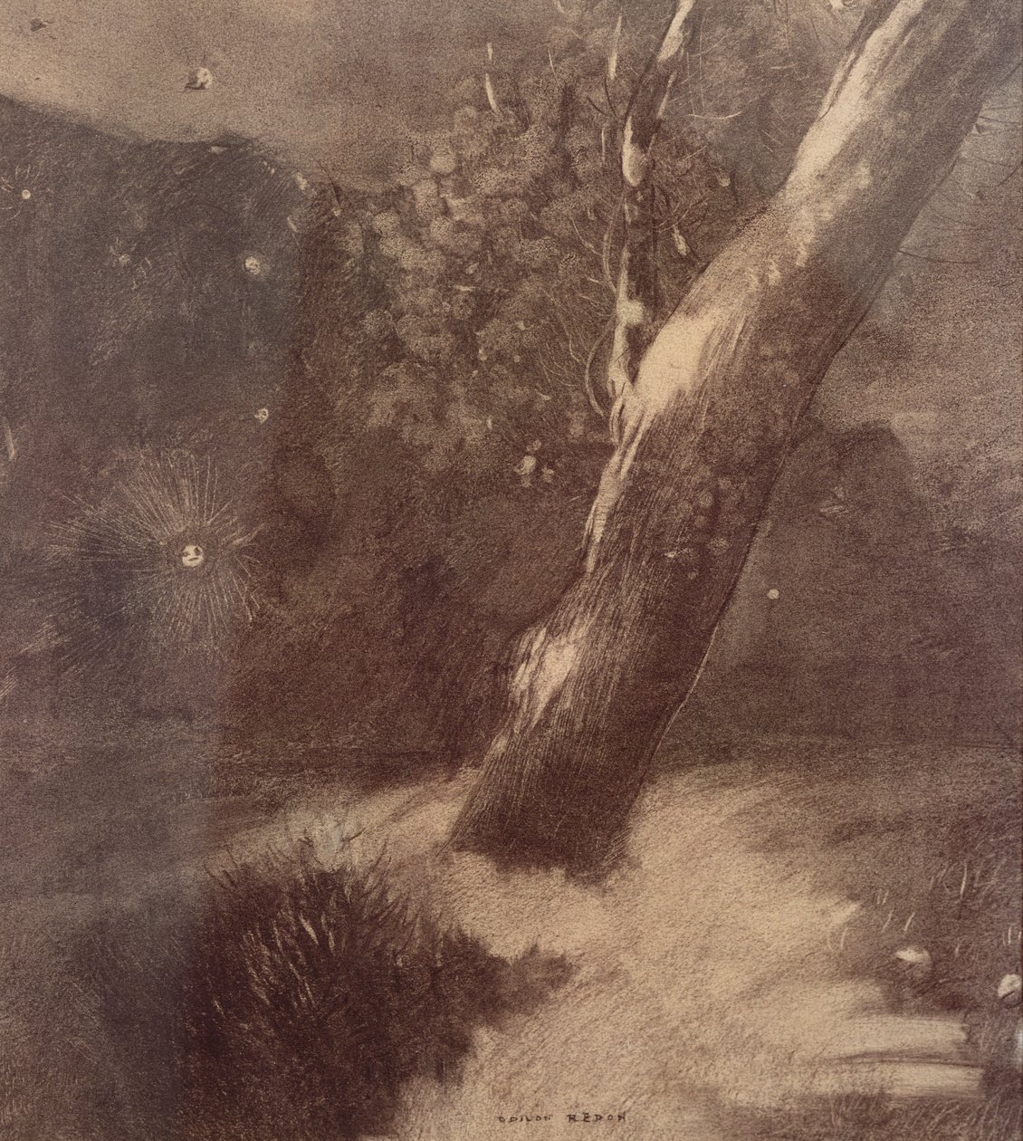 Arbre et étoiles - Odilon Redon