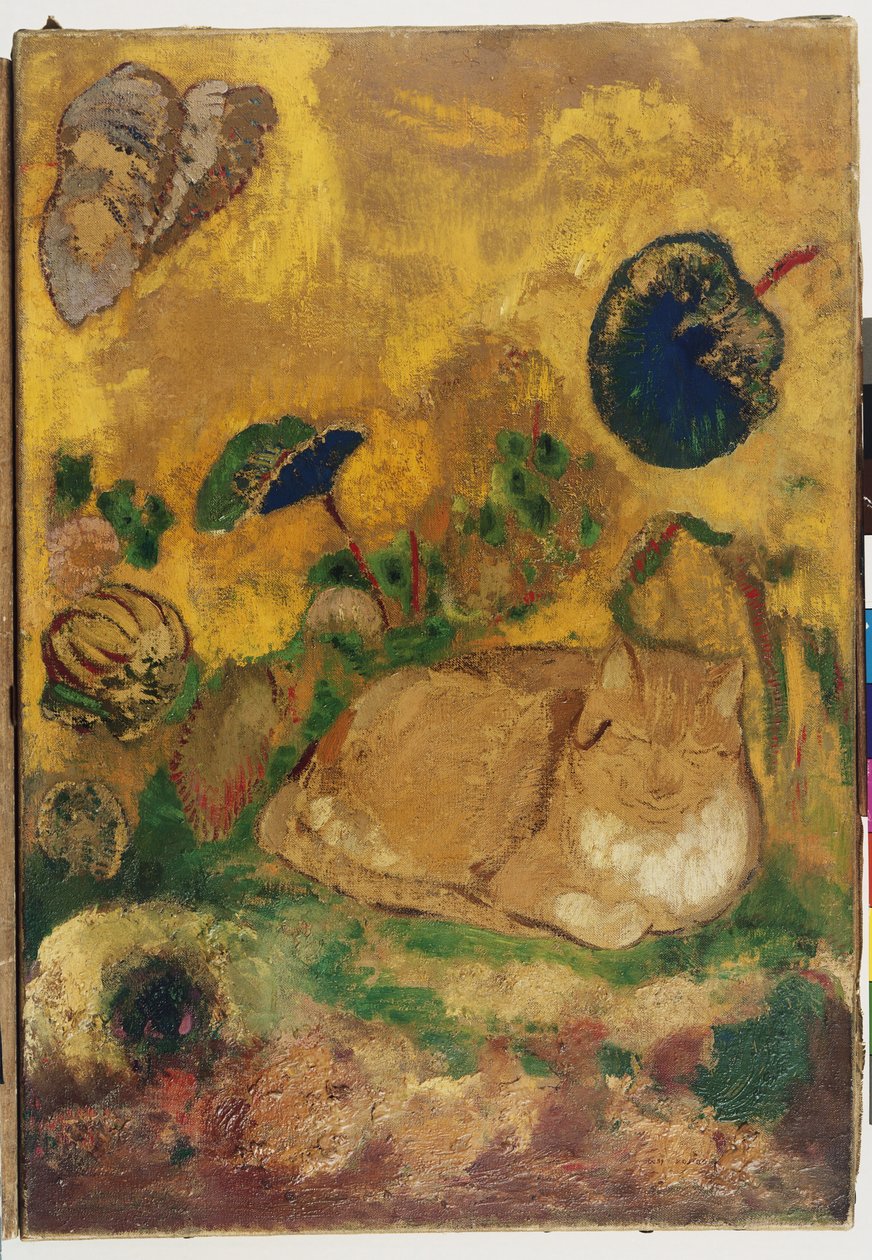 Bazon : Le chat de l'artiste, 1905 | Odilon Redon