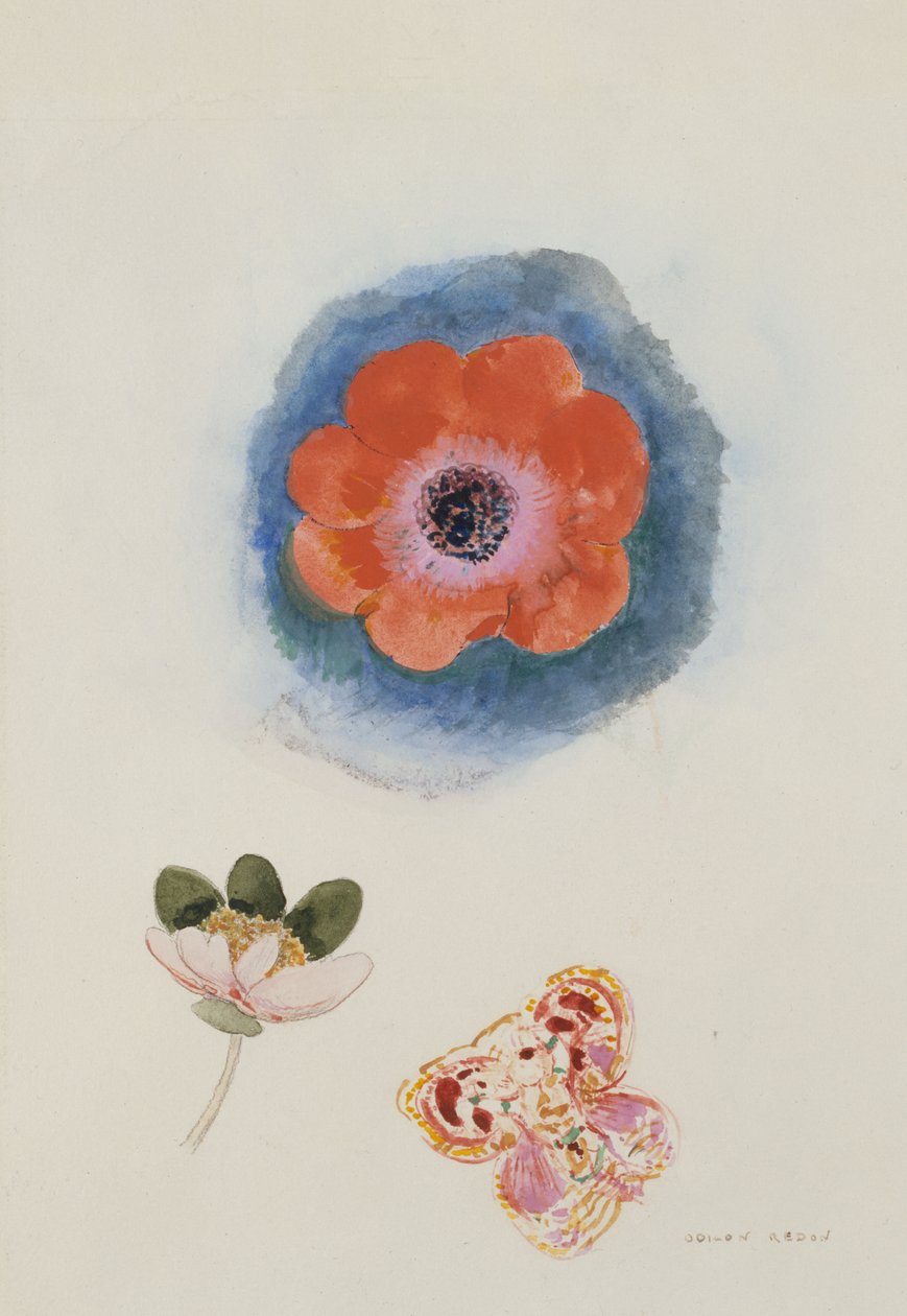 Blumenstudie - Odilon Redon