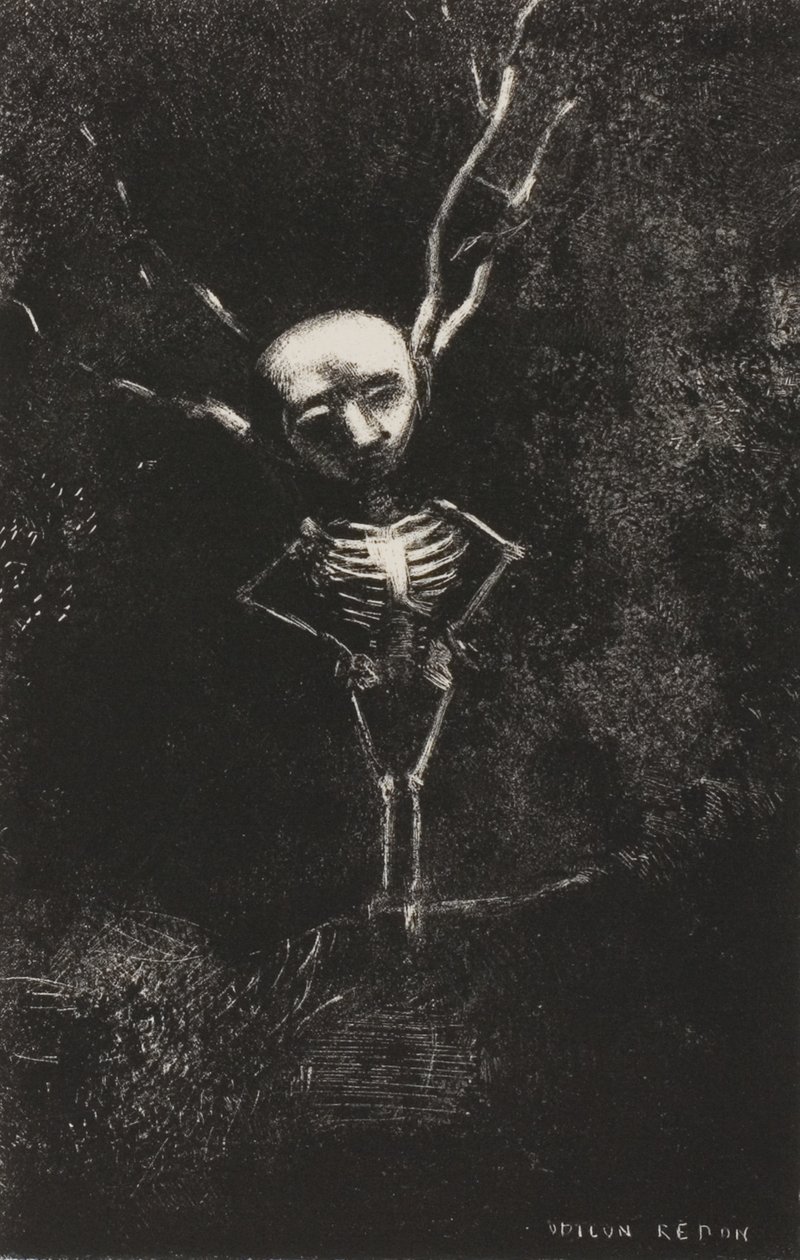 Dans le labyrinthe des branches, la figure pâle apparut, planche 2 de 7 - Odilon Redon