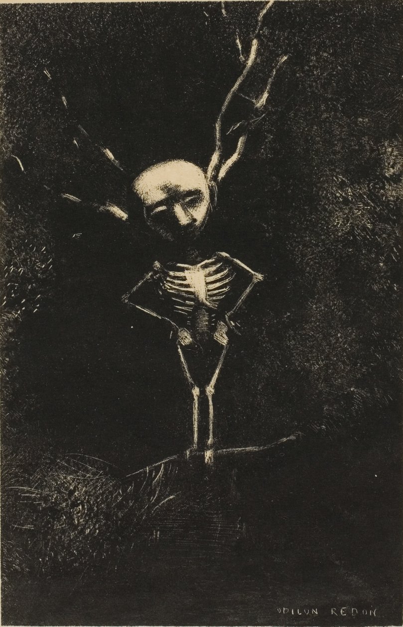 Dans le labyrinthe des branches, la figure pâle apparut, planche 2 de 7 - Odilon Redon