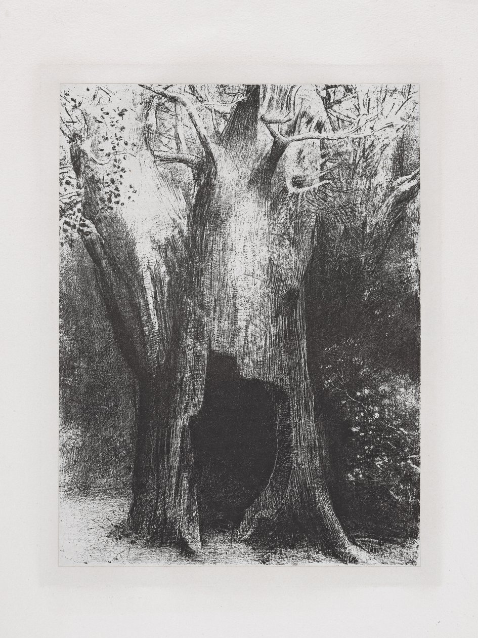 Je me suis enfoncé dans la solitude - Odilon Redon