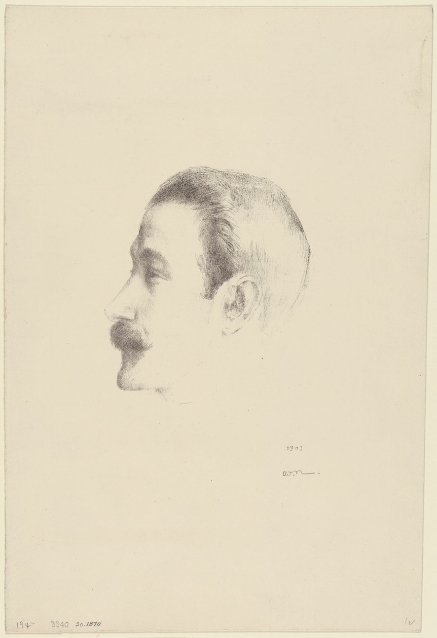 Ricardo Viñes - Odilon Redon