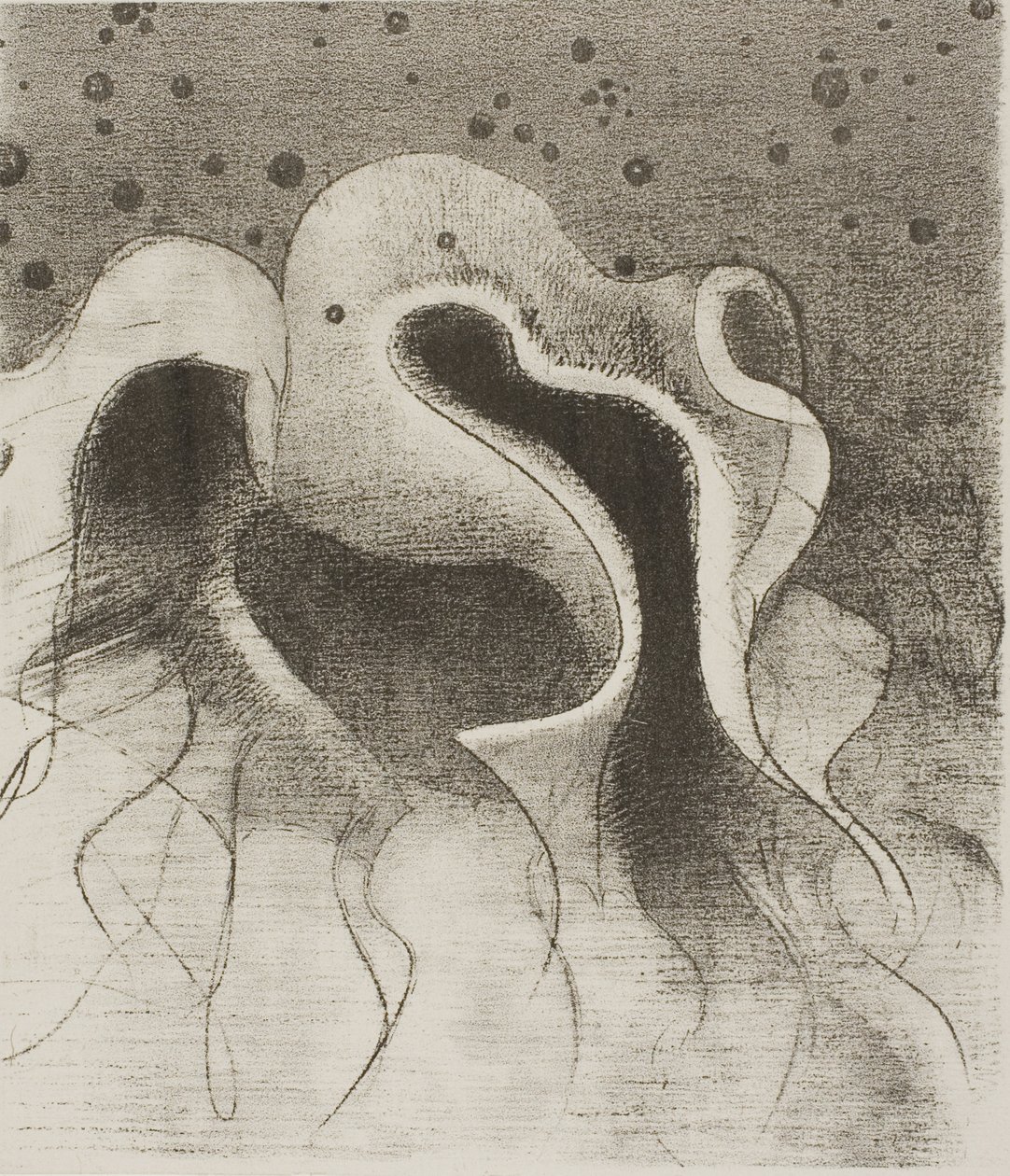 Les bêtes de la mer, rondes comme des bouteilles en cuir, planche 22 de 24 - Odilon Redon