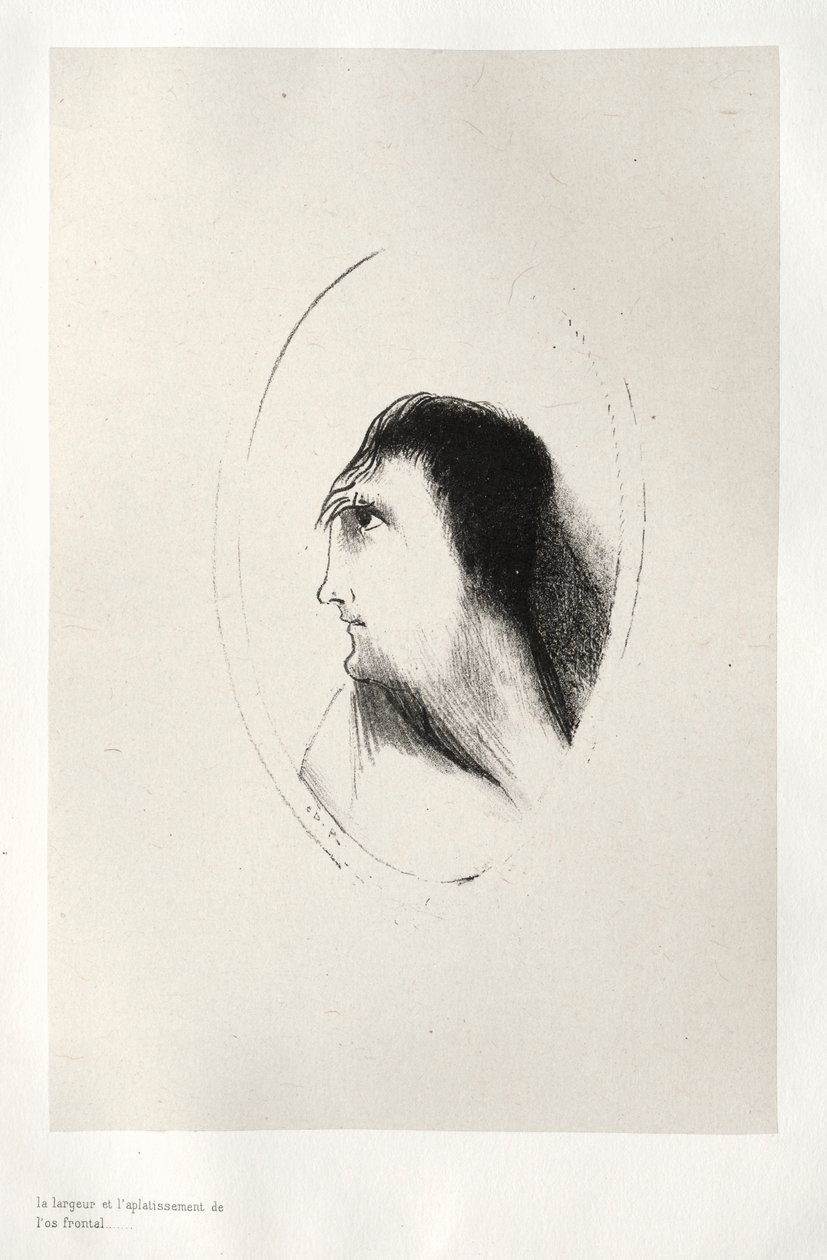 La Maison hantée : La largeur et la platitude du frontal - Odilon Redon
