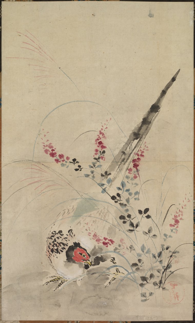 Faisan et herbes, fin XVIIe-début XVIIIe siècle - Ogata Korin
