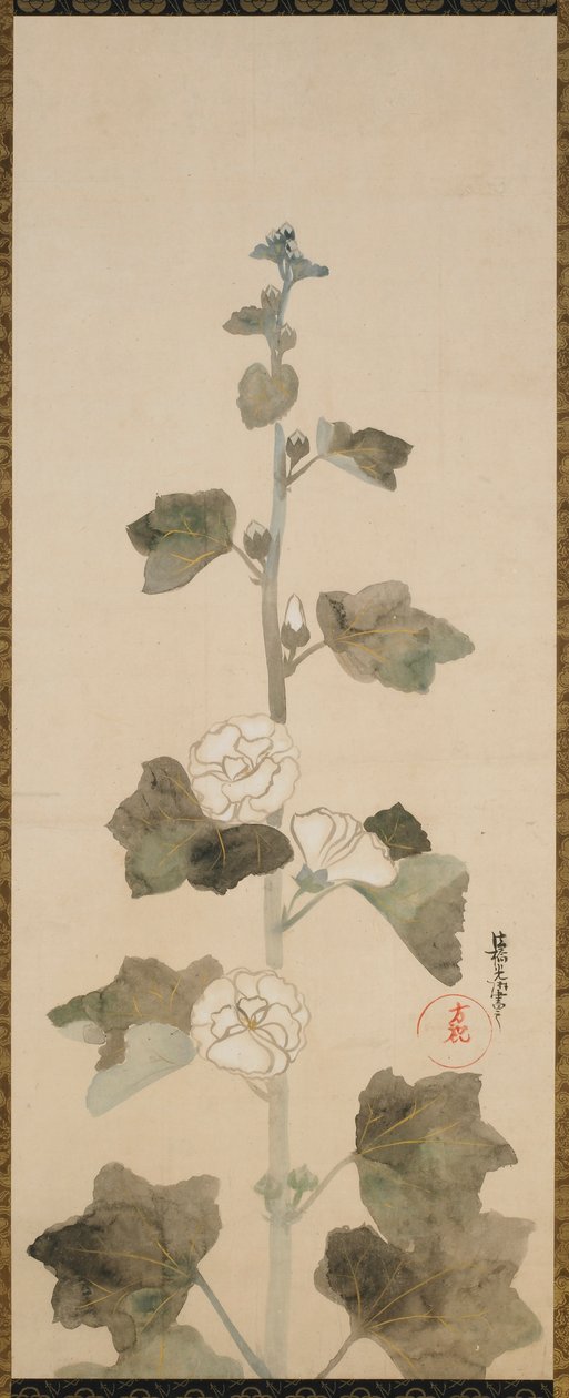 Hollyhocks blancs, période Edo, fin 17e-début 18e siècle - Ogata Korin