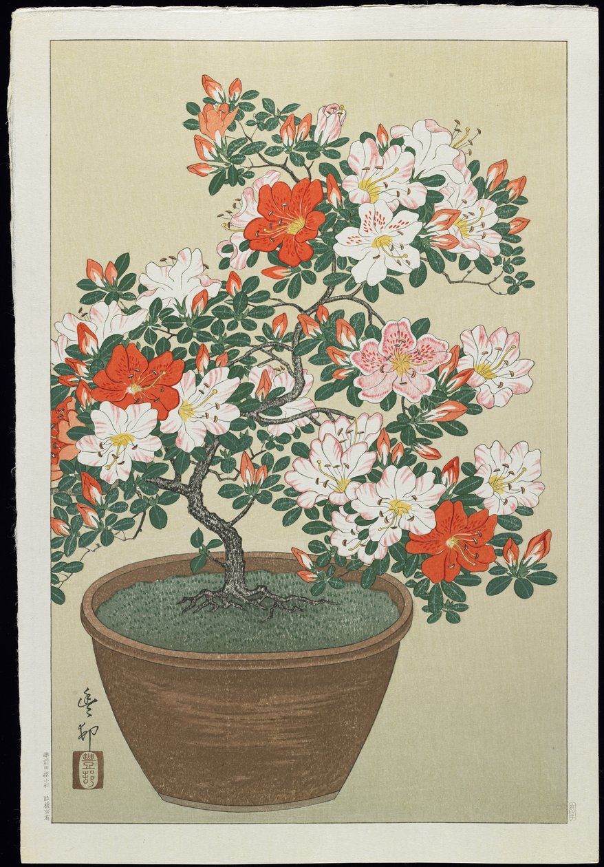 Azalée en pot, années 1930 - Ohara Koson