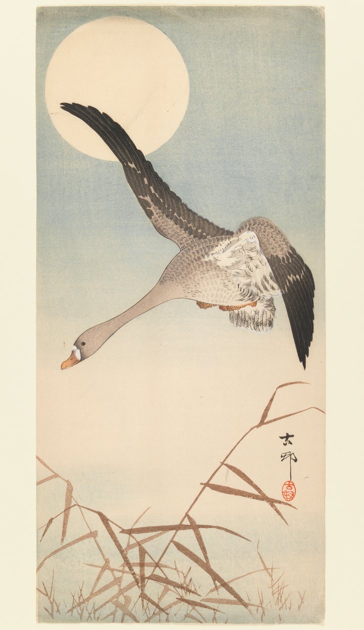 Oie volant au clair de lune, vers 1910 - Ohara Koson