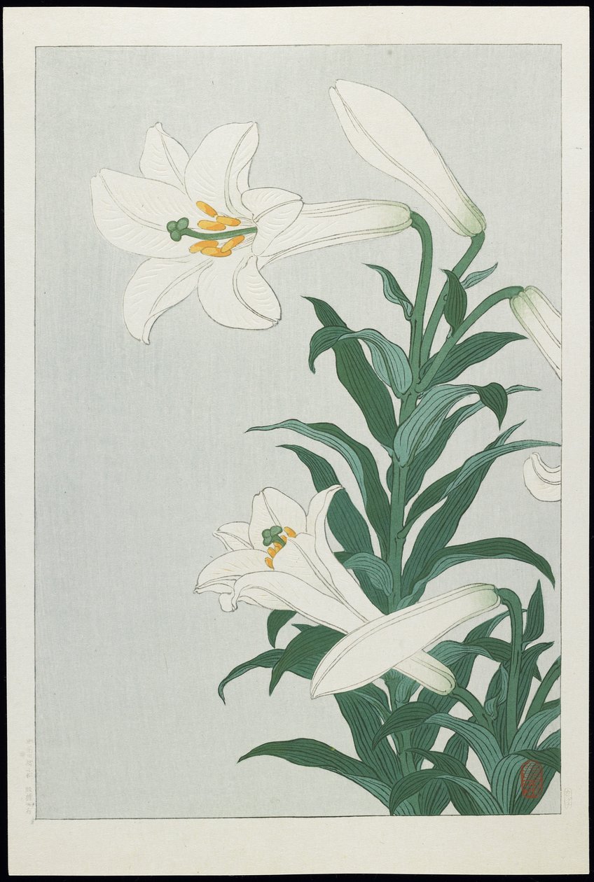 Lys blanc, années 1930 - Ohara Koson