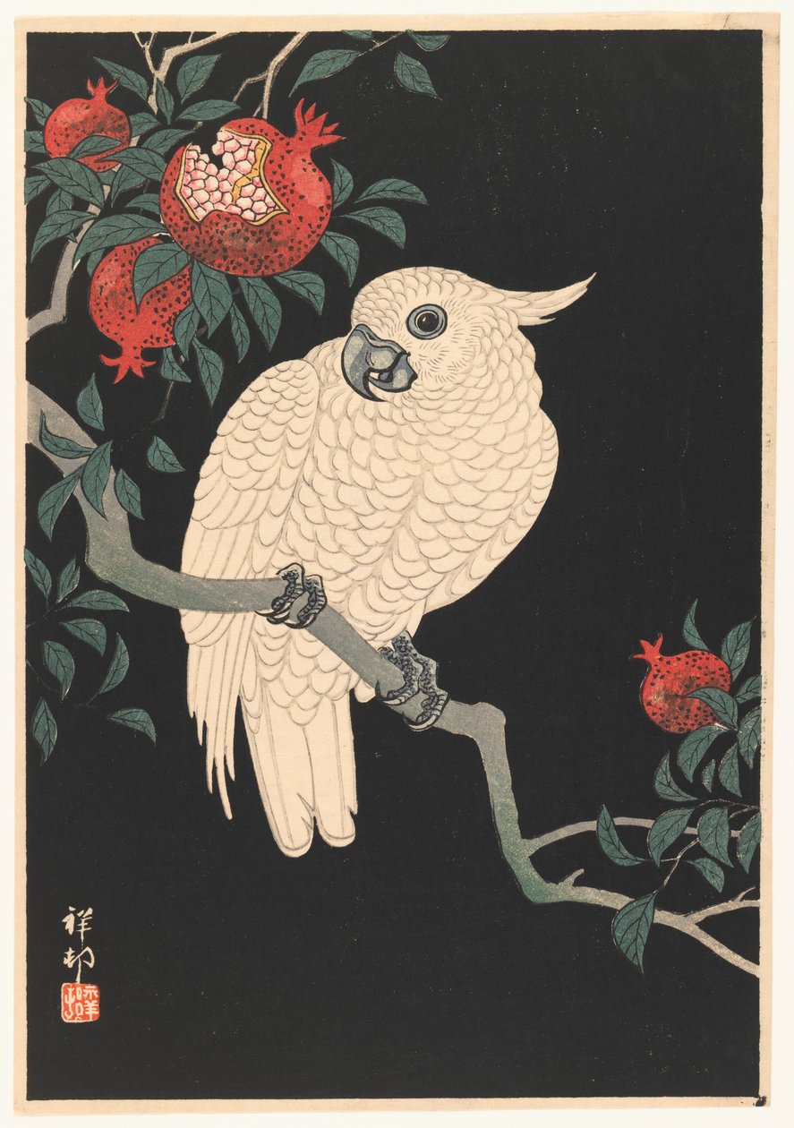 Perroquet Blanc et Grenade - Ohara Koson