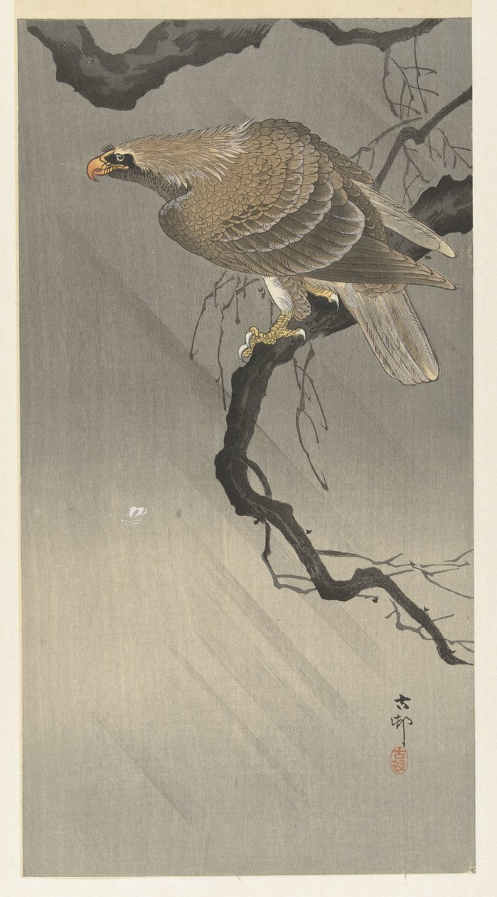 Aigle sur une branche - Ohara Koson