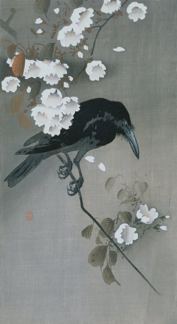 Corbeau sur une branche de cerisier en fleurs - Ohara Koson