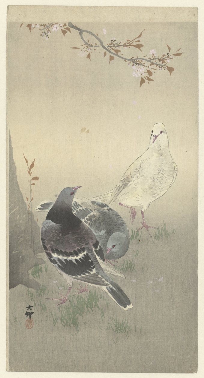 Trois pigeons apprivoisés - Ohara Koson