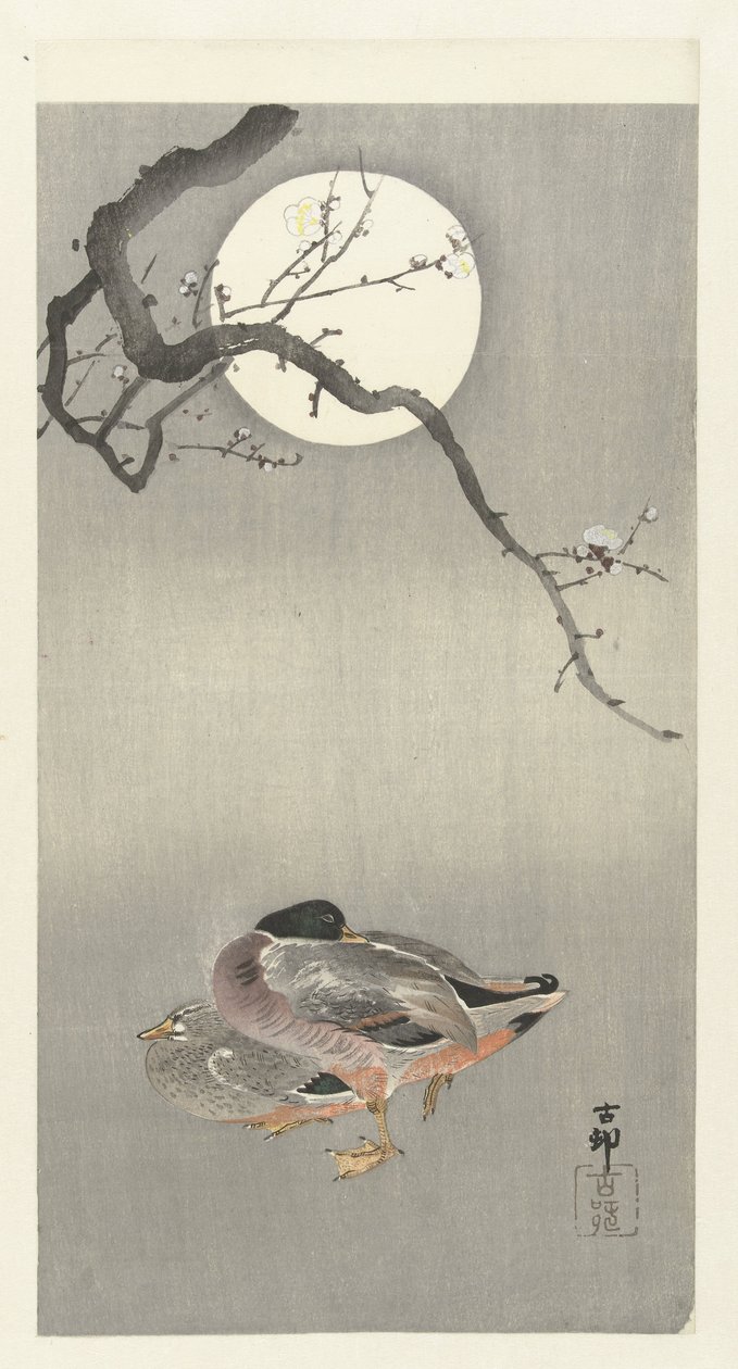 Canards sous la pleine lune - Ohara Koson