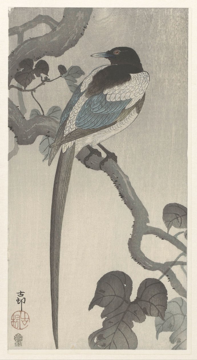 Pie sur une branche - Ohara Koson