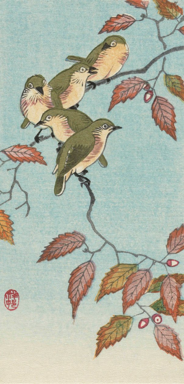 Cinq petits oiseaux sur une branche, par l
