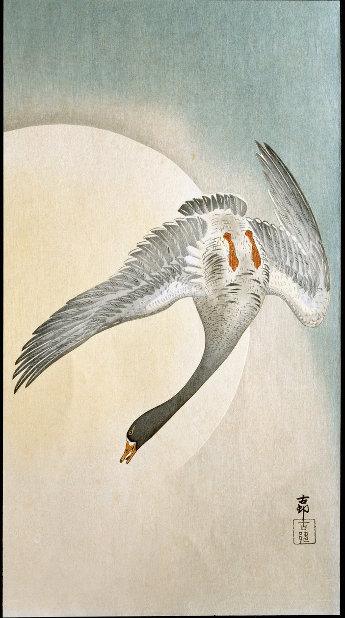 Vol de canards au clair de lune - Ohara Koson
