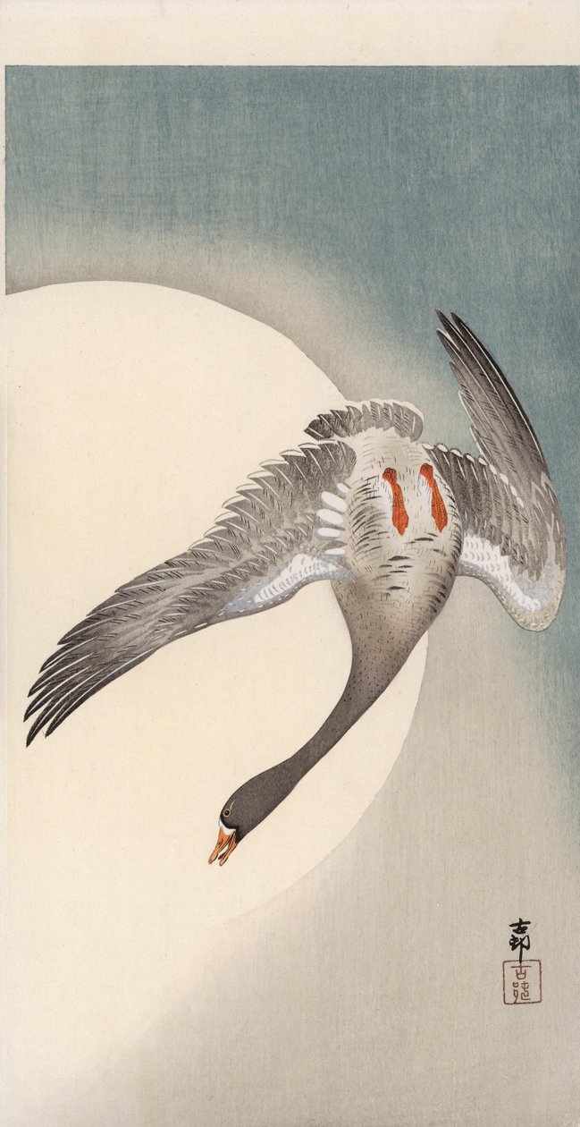 Oie à front blanc en vol vue de dessous devant la lune - Ohara Koson