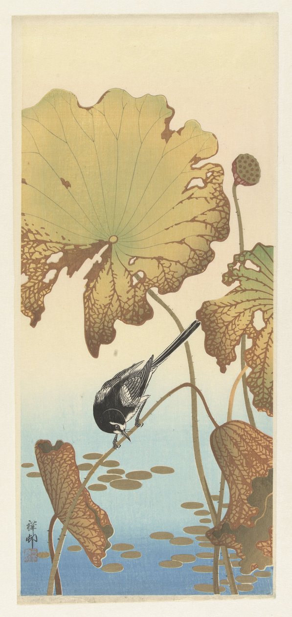 Bergeronnette japonaise sur une plante de lotus - Ohara Koson