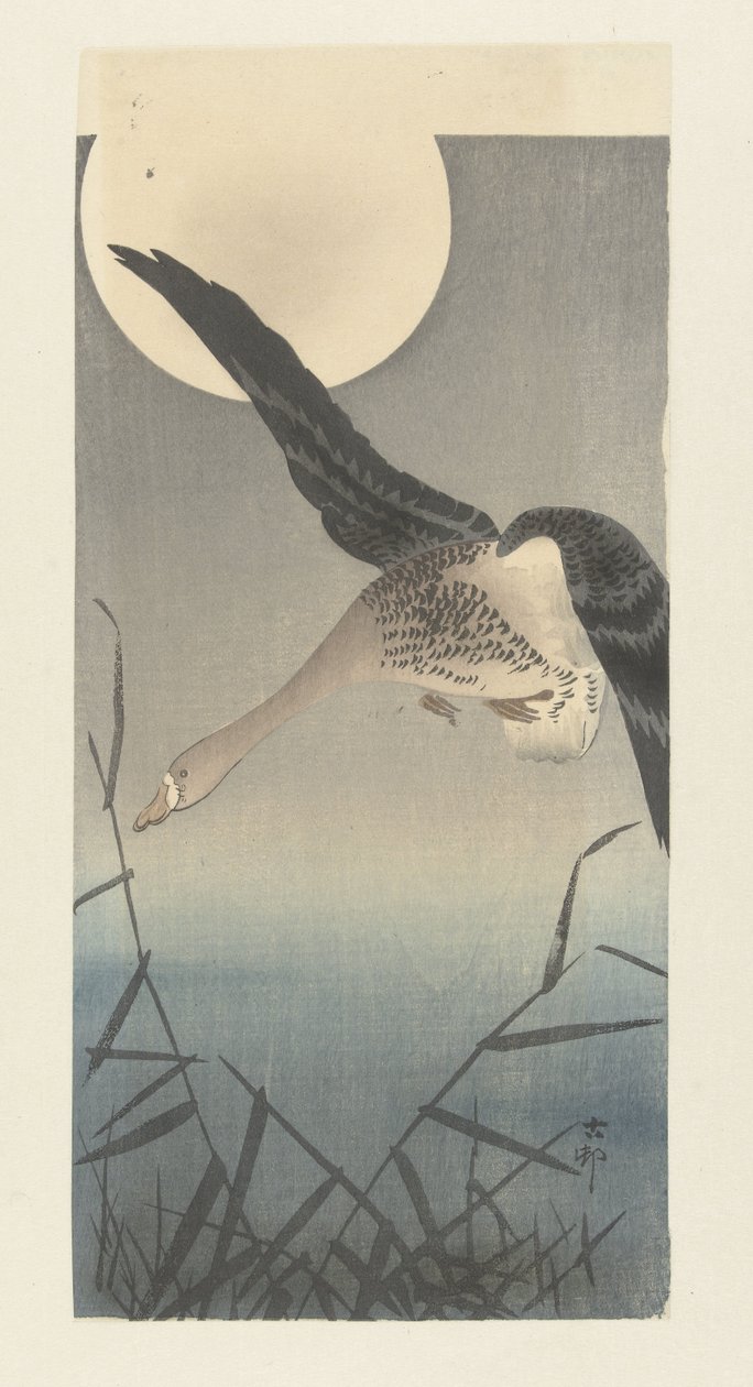 Oie cendrée sous la pleine lune - Ohara Koson