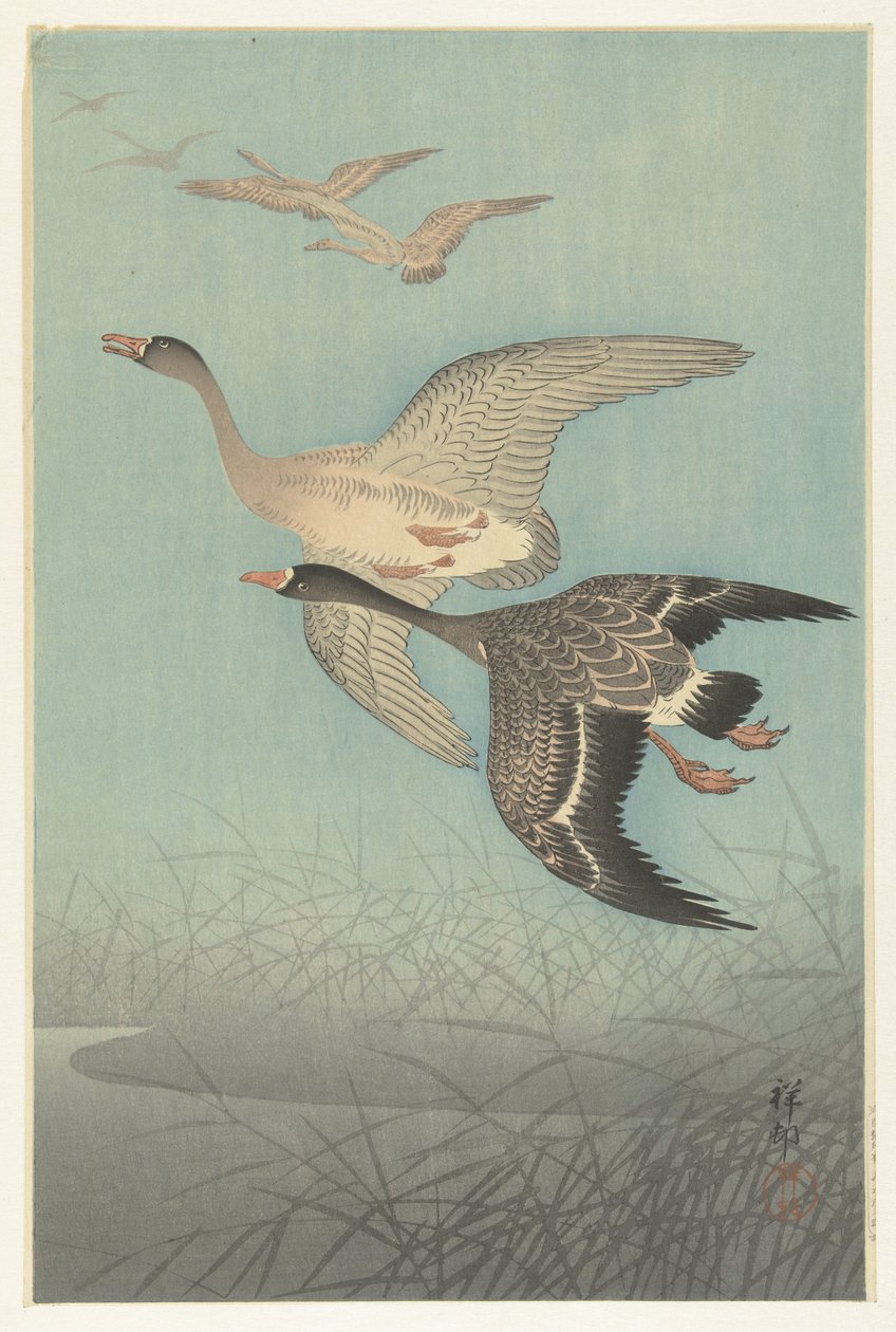 Oies cendrées en vol - Ohara Koson