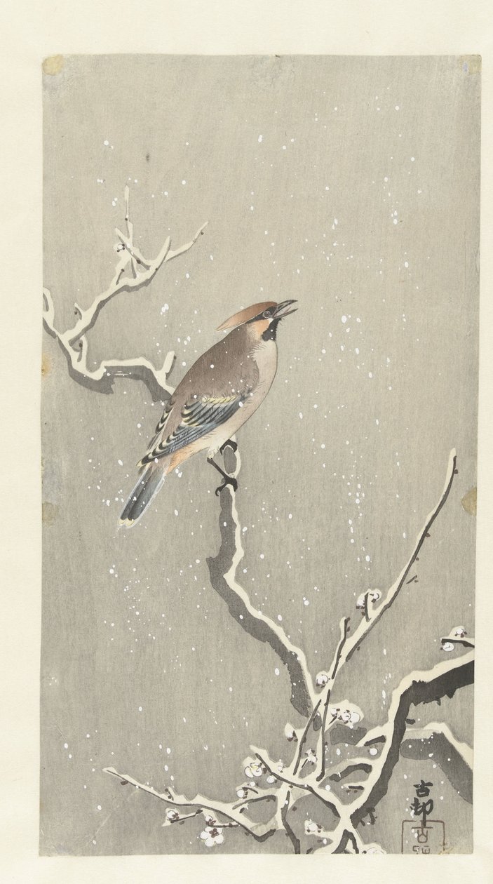 Jaseur boréal sur une branche enneigée - Ohara Koson