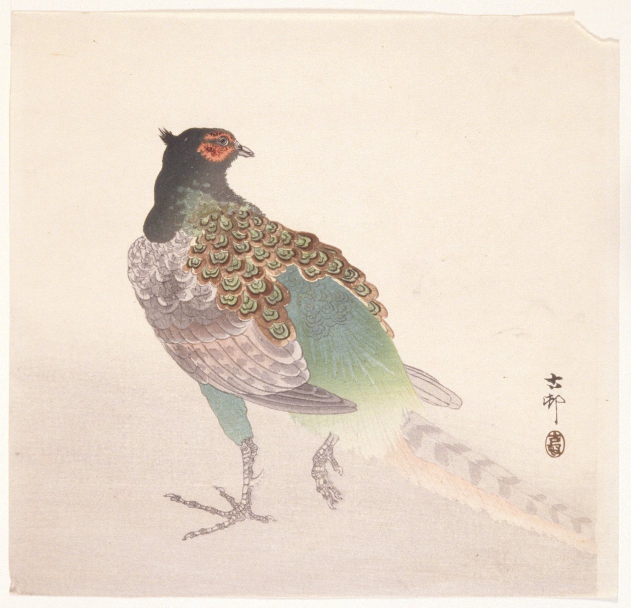 Faisan - Ohara Koson