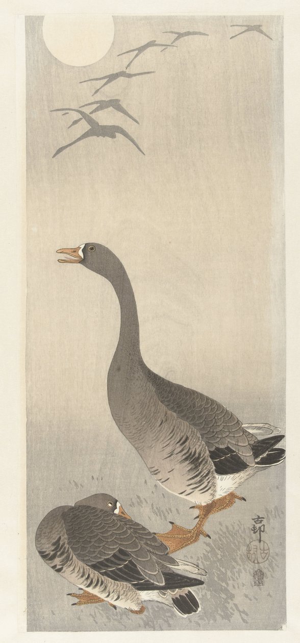 Deux oies - Ohara Koson