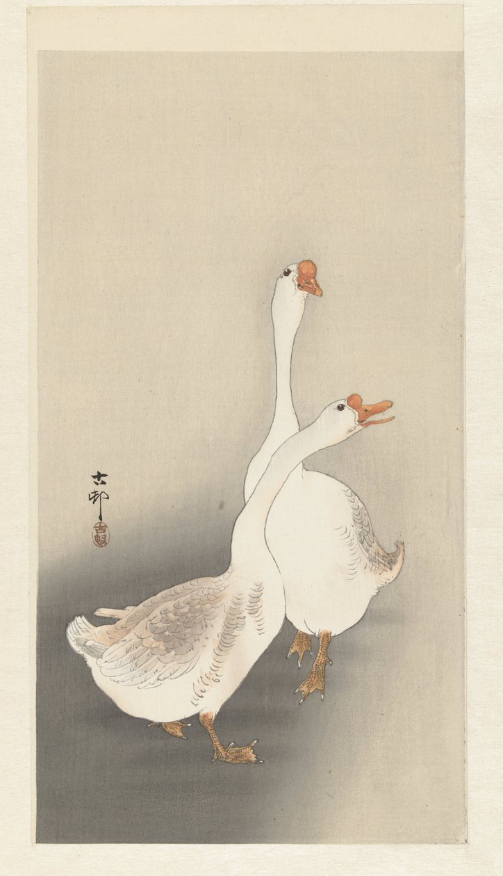 Deux oies - Ohara Koson