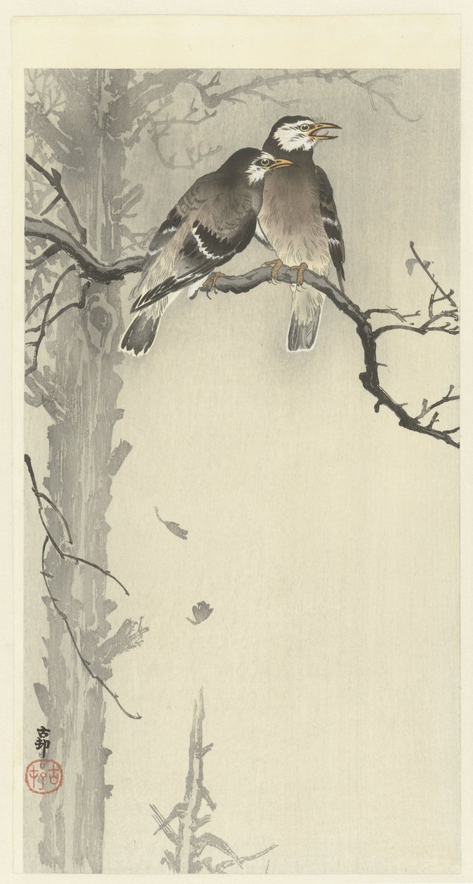Deux étourneaux gris - Ohara Koson