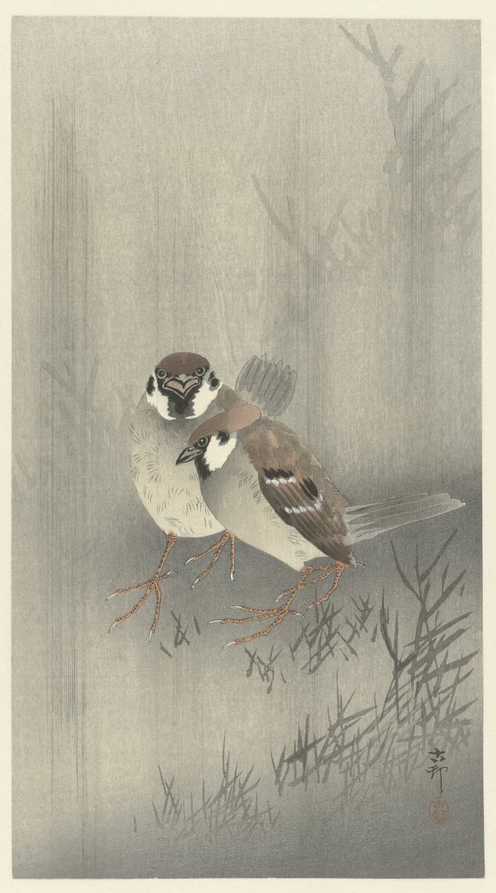 Deux moineaux sous la pluie - Ohara Koson