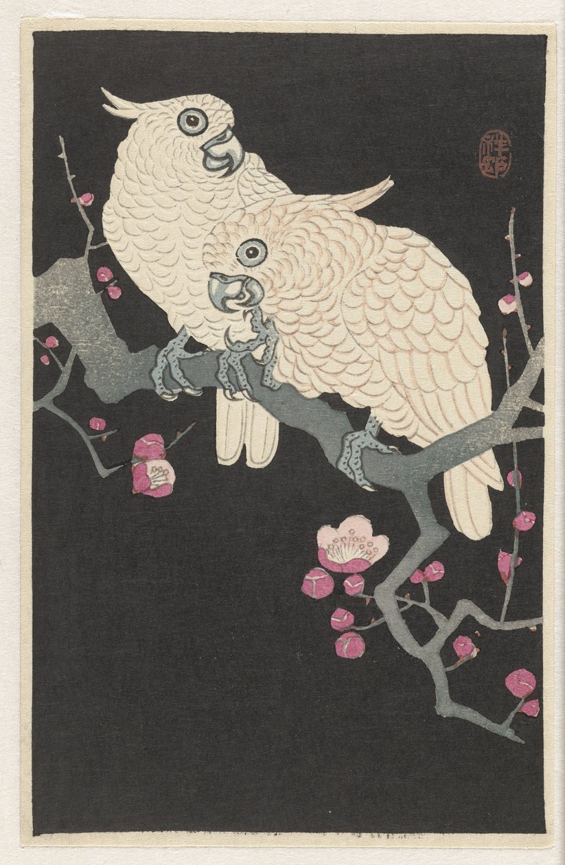 Deux cacatoès et fleurs de prunier - Ohara Koson