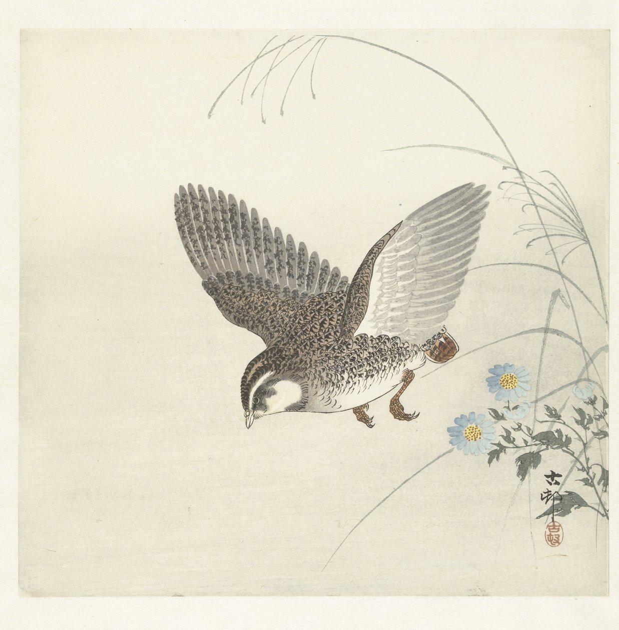 Caille volante - Ohara Koson
