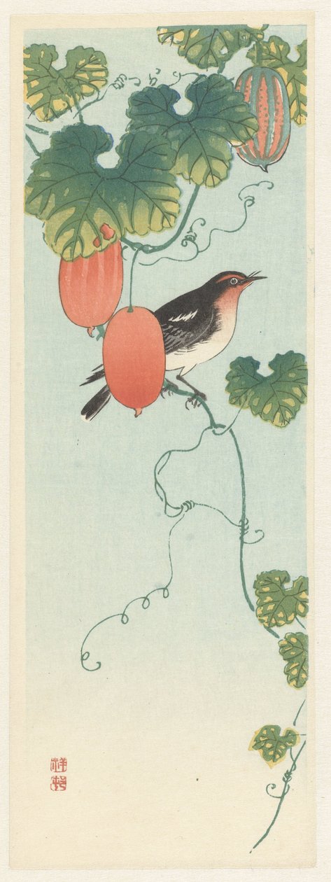 Oiseau chanteur dans une plante de concombre - Ohara Koson