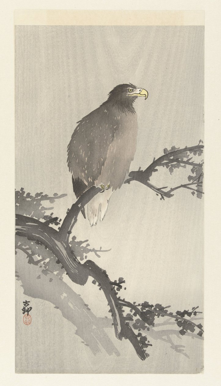 Aigle de mer sur une branche - Ohara Koson