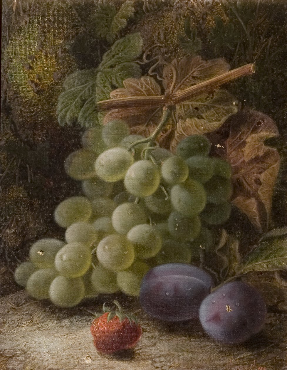 Grappe de Raisins, 1893 - Oliver Clare